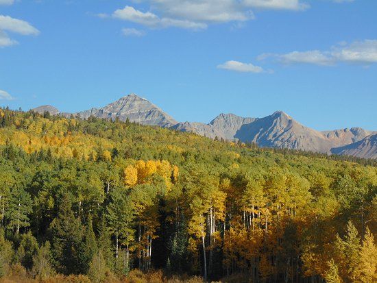 Jersey Jim Fire Lookout Tower