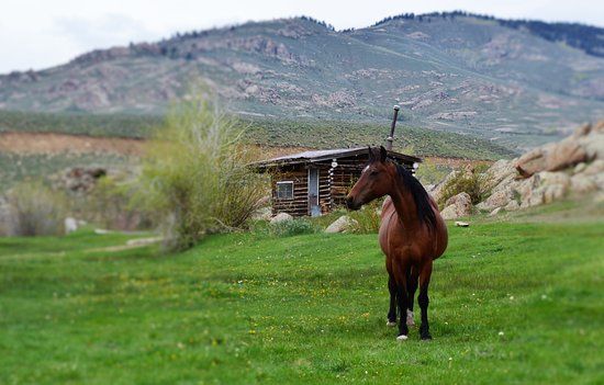 Quartz Creek Trail Rides