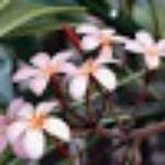 Hawley's Tavern and Grill