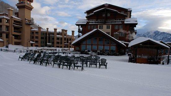 Bear Bar & Grille at Purgy's