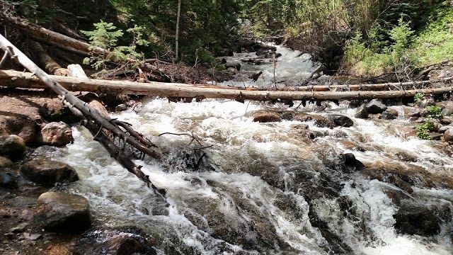 Lily Pad Lake Trail Head