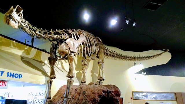 Dinosaur Journey Museum