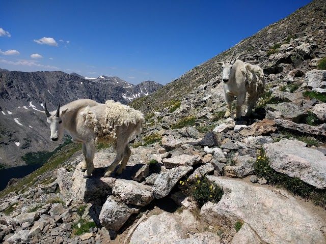 Quandary Peak Trailhead