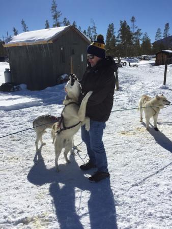 Dog Sled Rides of Winter Park