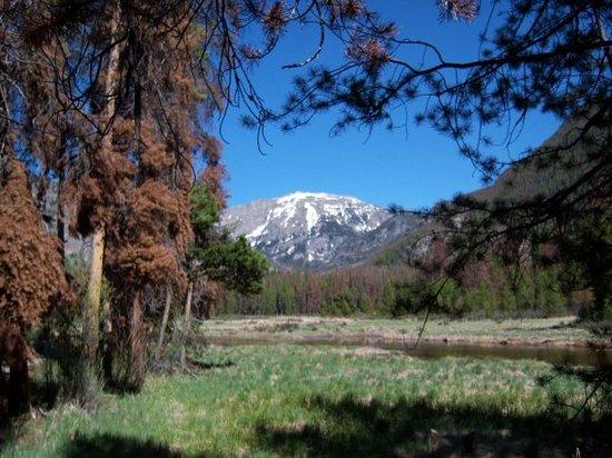 Bowen Gulch Trail