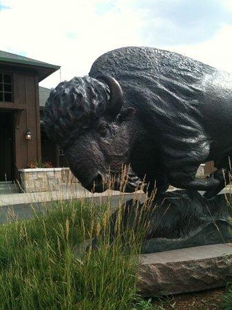 Buffalo Run Golf Course