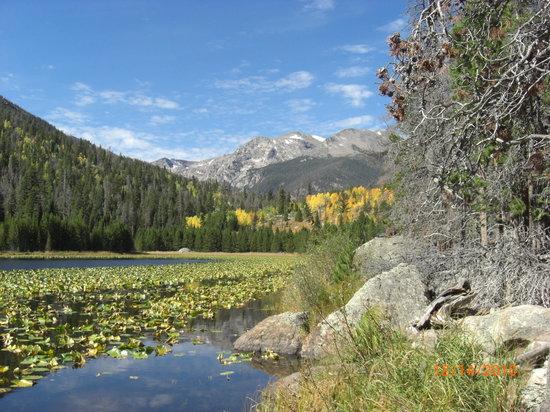 Cub Lake Trail