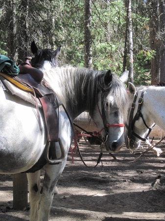 Sombrero Ranch