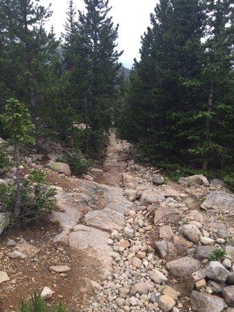 Lawn Lake Trailhead