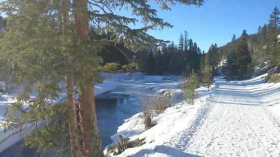 The Fraser River Trail