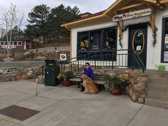 Bear Necessities & Cubs