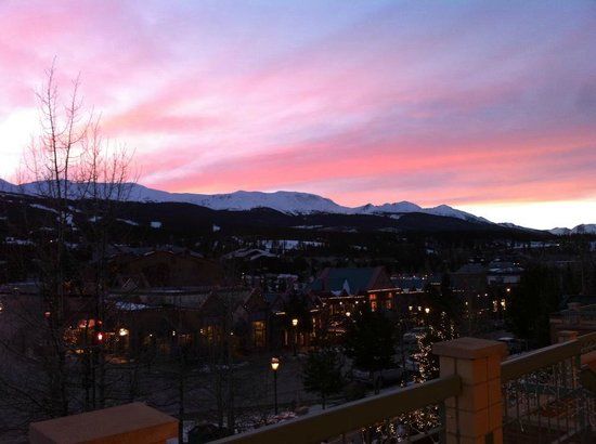 Wasabi Japanese & Sushi