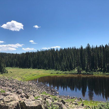 Grand Mesa National Forest