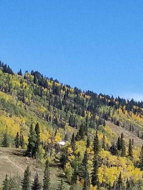 Gondola Transit Center