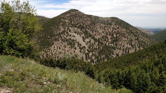 Roosevelt National Forest