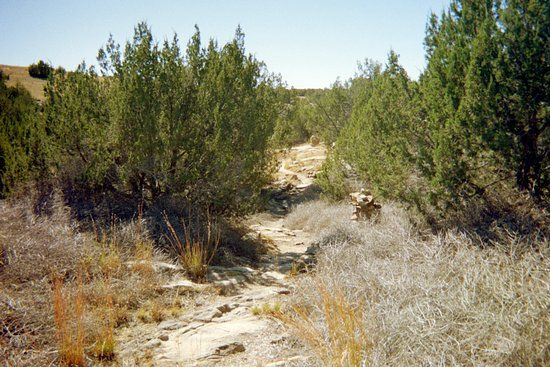 Vogel Canyon