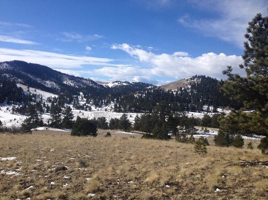 Pike National Forest