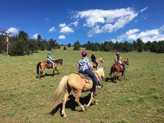 American Safari Ranch