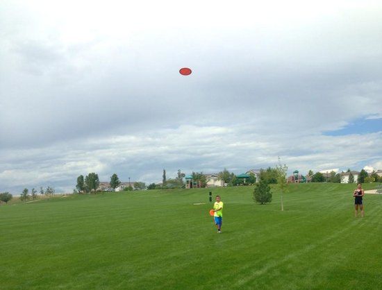 Springvale Park Disc Golf Course