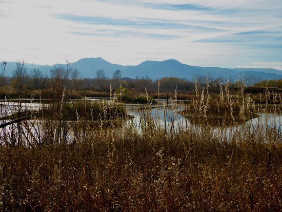 Two Ponds National Wildlife Refuge