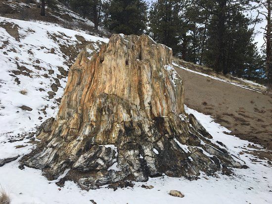 Florissant Fossil Beds National Monument