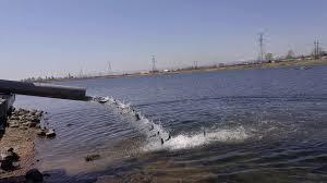 Thornton Gravel Ponds